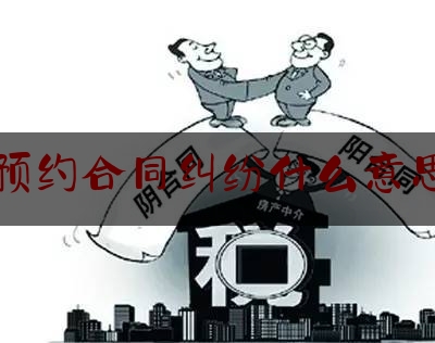 预约合同纠纷什么意思(预约抢票是什么意思)