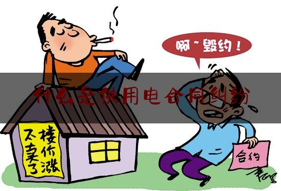 什么是供用电合同纠纷(什么是公用电厂)