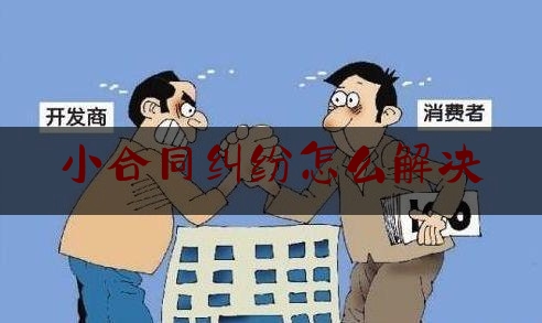 小合同纠纷怎么解决(小纠纷怎么处理)