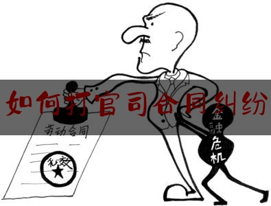 如何打官司合同纠纷(合同纠纷打官司费用)