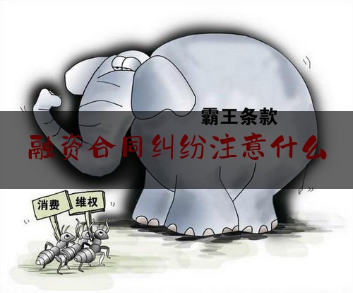 融资合同纠纷注意什么(签订融资协议主要要注意什么)