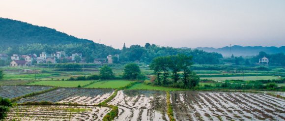 农村土地复垦补偿标准是什么