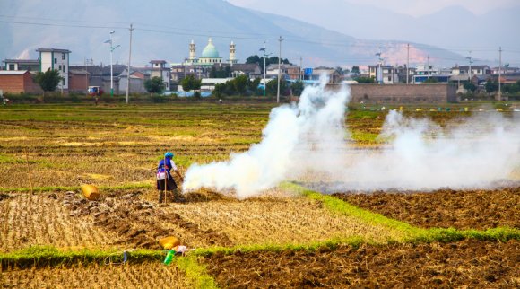 征用耕地补偿费是多少