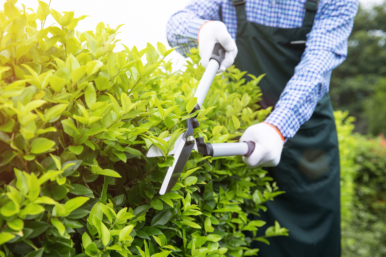 个人单方面解除合同的范本(劳动合同劳动者用人单位)