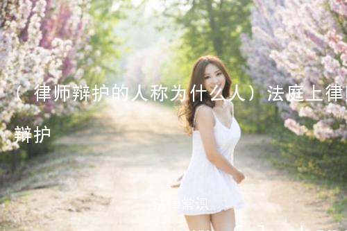 (律师辩护的人称为什么人)法庭上律师辩护