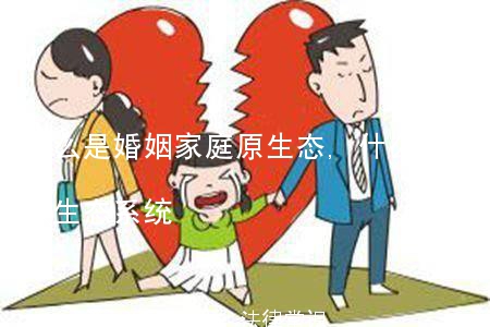 什么是婚姻家庭原生态,什么是婚姻家庭原生态系统