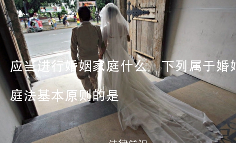 应当进行婚姻家庭什么,下列属于婚姻家庭法基本原则的是