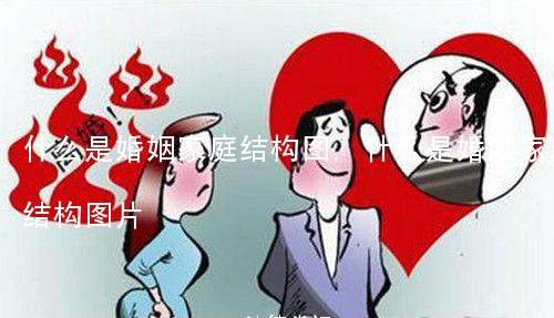 什么是婚姻家庭结构图,什么是婚姻家庭结构图片