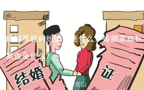 婚姻家庭纠纷案由是什么,婚姻家庭纠纷案由是什么?