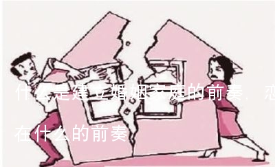 什么是建立婚姻家庭的前奏,恋爱是建立在什么的前奏