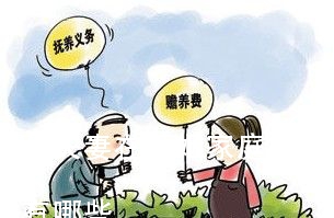 (夫妻在婚姻家庭中什么平台)婚姻平台有哪些