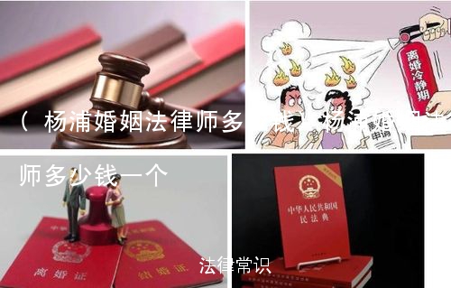 (杨浦婚姻法律师多少钱)杨浦婚姻法律师多少钱一个