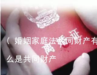 (婚姻家庭法共同财产有哪些)婚姻法什么是共同财产