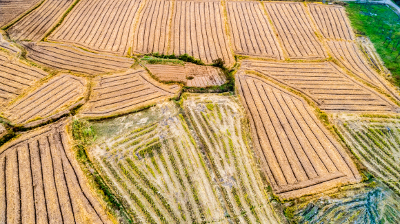 (补助费补偿费土地)承包地征收补偿费归谁