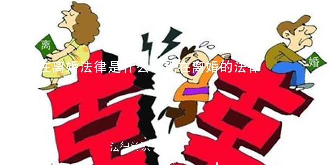 (现在离婚法律是什么)现在离婚的法律是什么