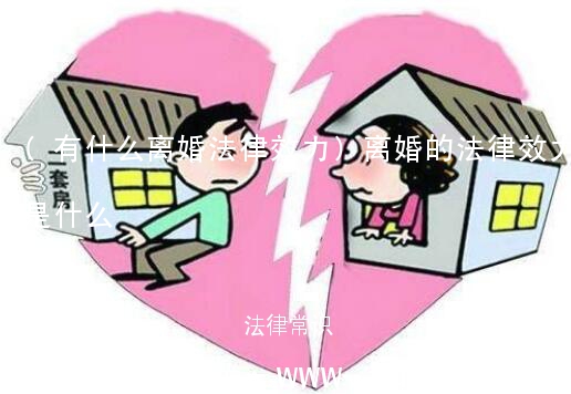 (有什么离婚法律效力)离婚的法律效力是什么