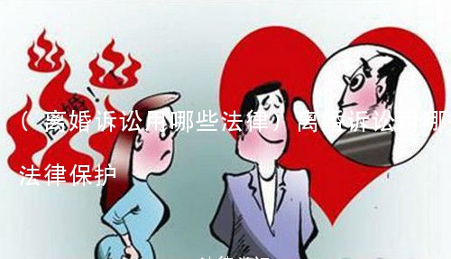 (离婚诉讼用哪些法律)离婚诉讼用哪些法律保护