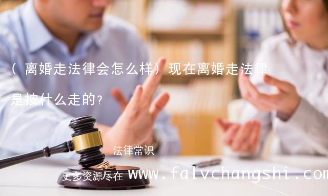 (离婚走法律会怎么样)现在离婚走法律是按什么走的?