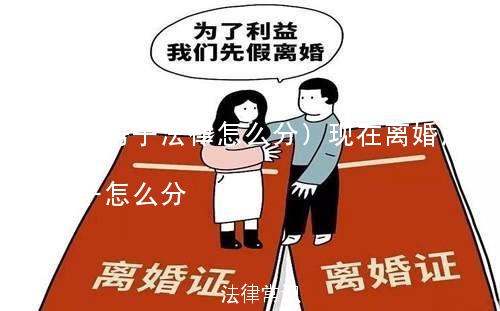 (离婚房子法律怎么分)现在离婚法律法规房子怎么分