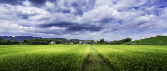 (补偿费土地青苗)征地补偿范围包括哪些