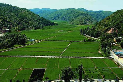 (补偿费集体经济分配)农村集体土地征地补偿费如何分配