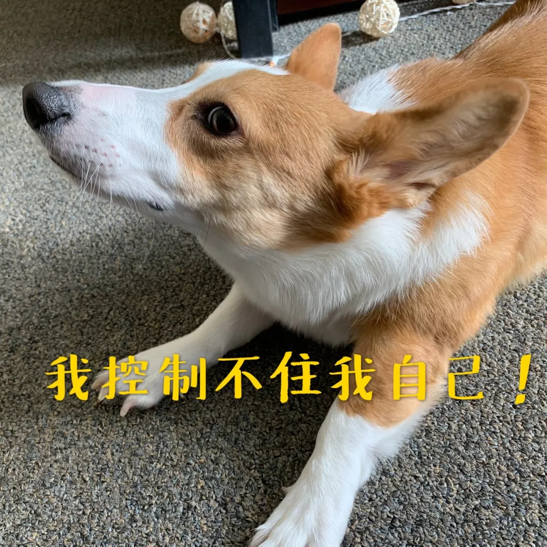 浙江慈溪：断水断电？怒砸房屋？房东和“二房东”僵持不下……