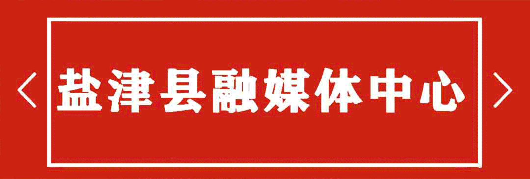 信用社贷款逾期去哪还款,农村信用社信用卡逾期半年