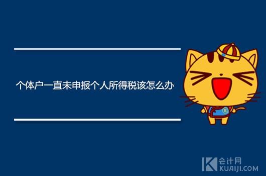 逾期报税个人信用,个体户一直未申报个人所得税该怎么办理