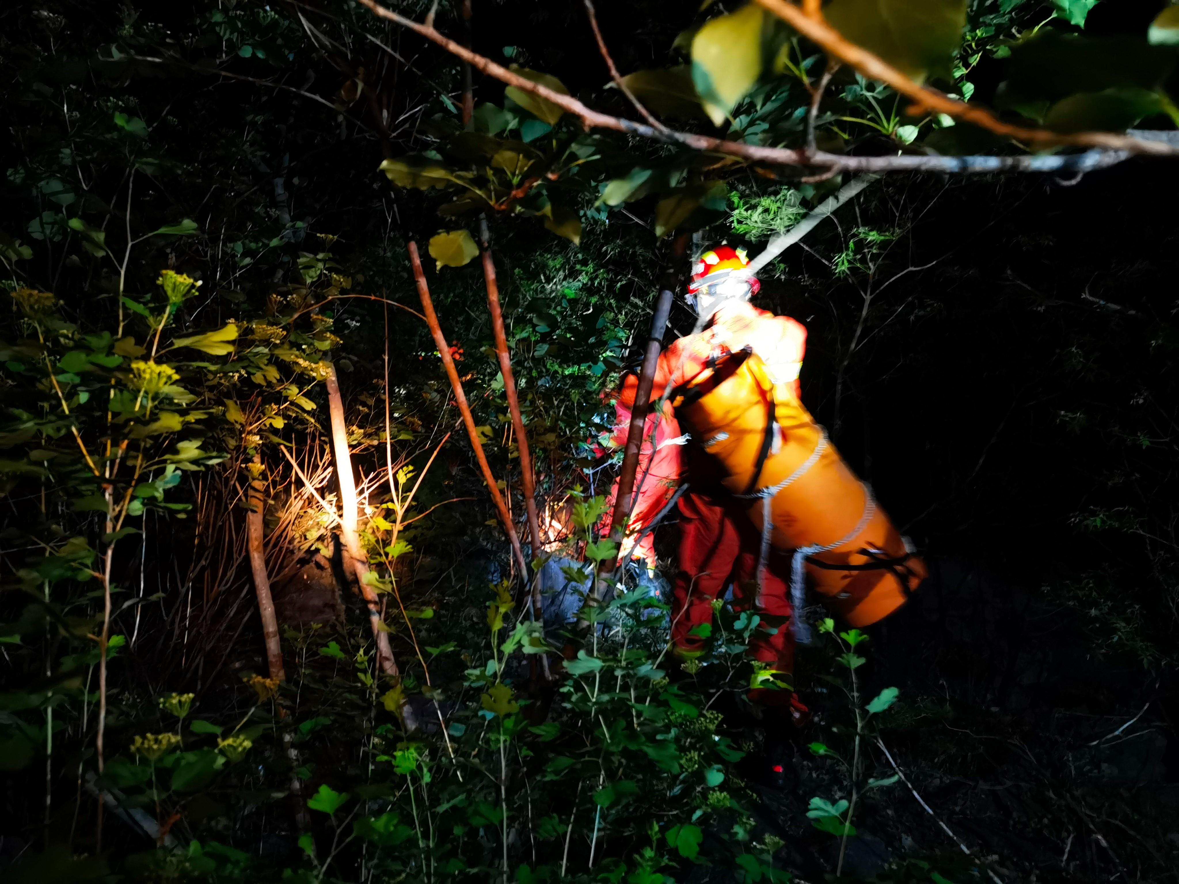 75岁聋哑老人上山采药未归，14名消防员两度进山搜寻