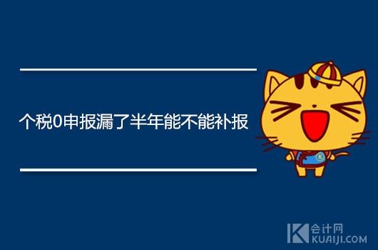第一次申报个税逾期了怎么办,个税0申报漏了半年可以补报