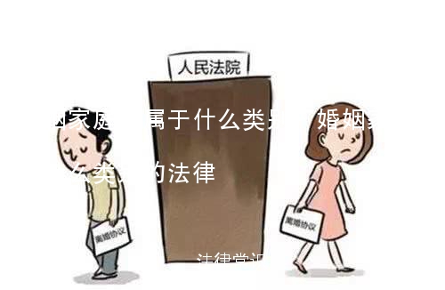 婚姻家庭法属于什么类别,婚姻家庭法属于什么类别的法律