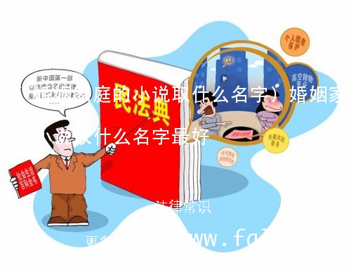 (婚姻家庭的小说取什么名字)婚姻家庭的小说取什么名字最好