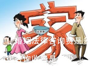 (婚姻法律咨询费是多少)婚姻方面的法律咨询收费是多少