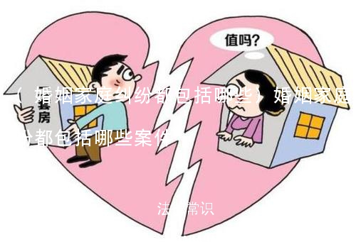 (婚姻家庭纠纷都包括哪些)婚姻家庭纠纷都包括哪些案件