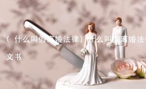 (什么叫假离婚法律)什么叫假离婚法律文书