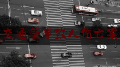 科普了一下交通肇事致人伤亡案,母亲遭遇车祸身亡儿子