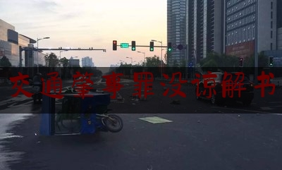 实事百科报道:交通肇事罪没谅解书,卡车女司机魏小样