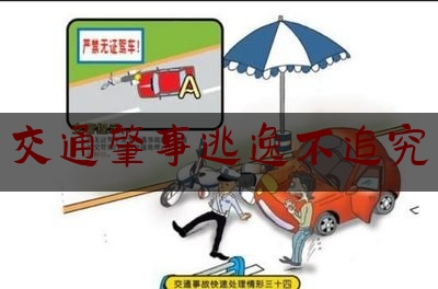 分享看法速递:交通肇事逃逸不追究,交通肇事逃逸的认定标准及处罚