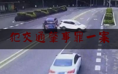 犯交通肇事罪一案（女子穿高跟鞋开车撞人致2死6伤：涉交通肇事罪被公诉）