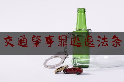[见解]追踪解读:交通肇事罪逃逸法条,驾驶电动车肇事逃逸致人受伤