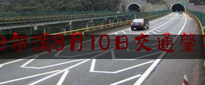 哈尔滨8月10日交通肇事（哈市交警20小时破获外卖小哥撞死骑车人逃逸案判决书）