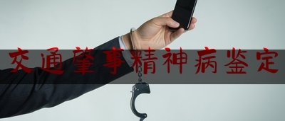 简单明了!交通肇事精神病鉴定,广州宝马撞人案判决书