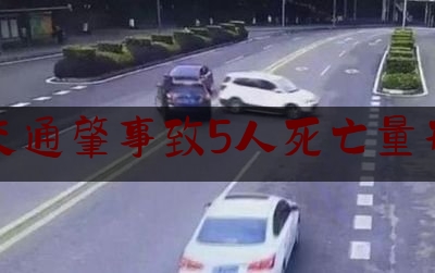 交通肇事致5人死亡量刑（广州宝马女司机撞人后续最新消息）