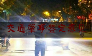 交通肇事鉴定意见（交通事故处理流程及赔偿计算）