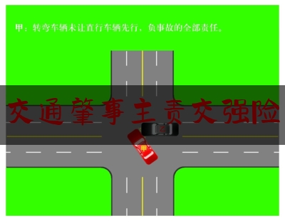 [热门]专业发布交通肇事主责交强险,交通事故什么项目可以在交强险中赔偿