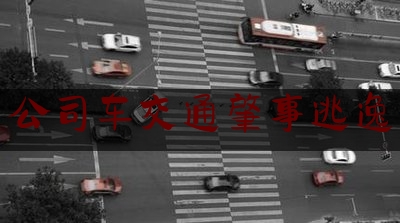 推荐秘闻知识:公司车交通肇事逃逸,中国法律儿童年龄界定
