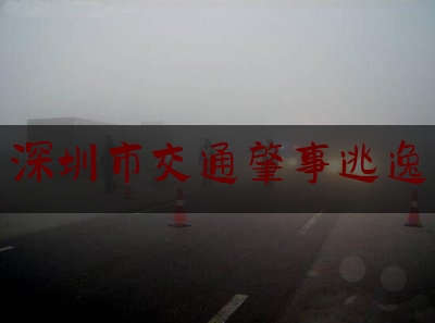 现场专业信息:深圳市交通肇事逃逸,京剧二进宫