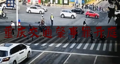 重庆交通肇事罪开庭（重庆姐弟坠亡案审判视频）