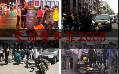 交通肇事罪2008（聊城车祸2021）