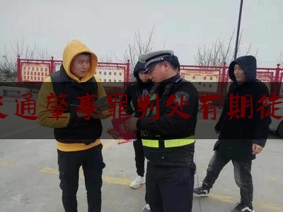 甲因交通肇事罪判处有期徒刑2年（迎江法院：交通肇事致人死亡  一审获刑八个月）